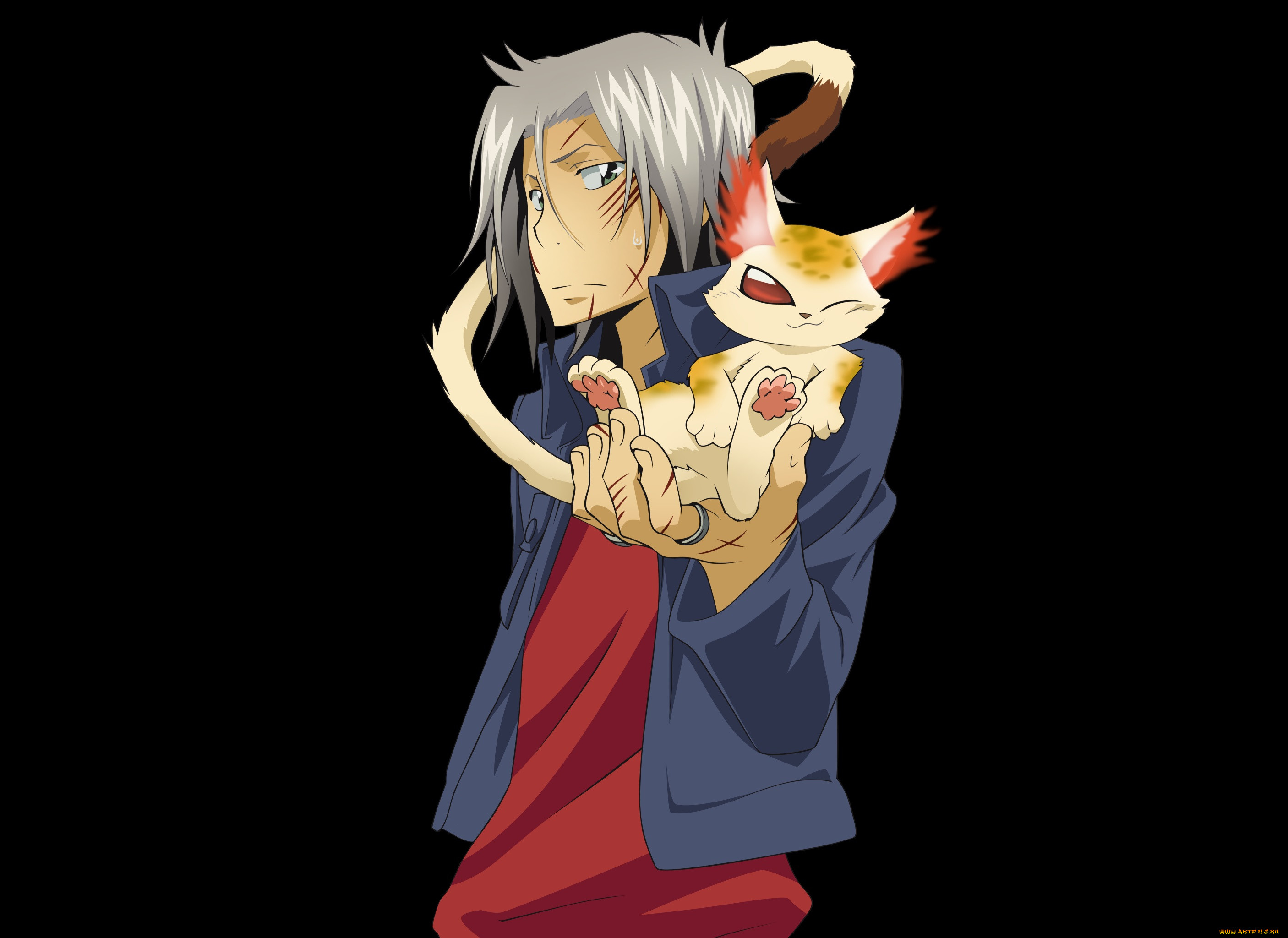, katekyo hitman reborn, 